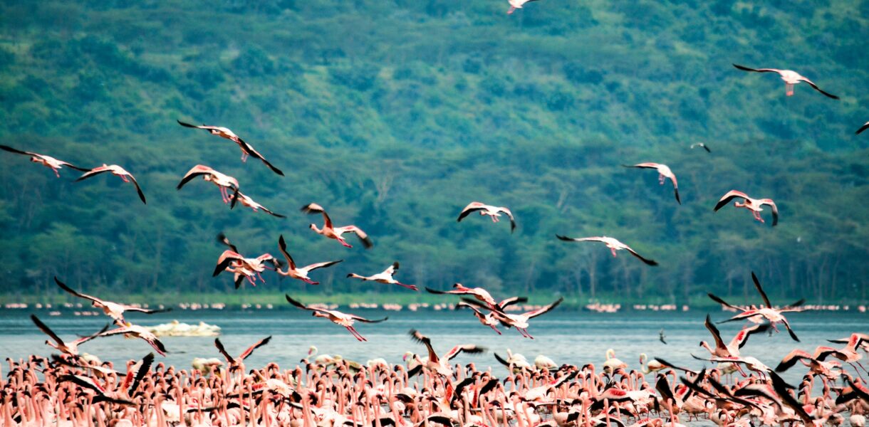 rift valley image time to travel