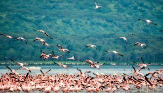 rift valley image time to travel