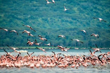 rift valley image time to travel