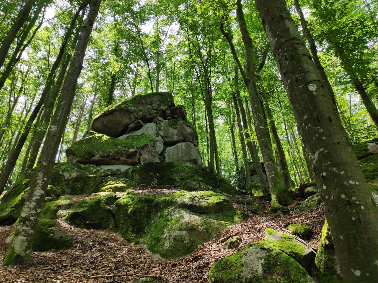 western kenya image time to travel