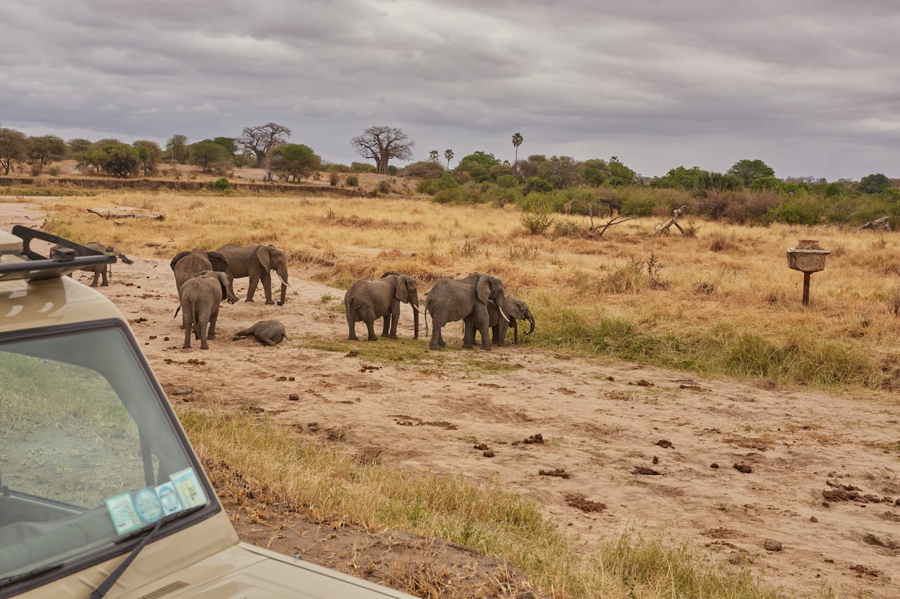 kenya travel destination image - time to travel